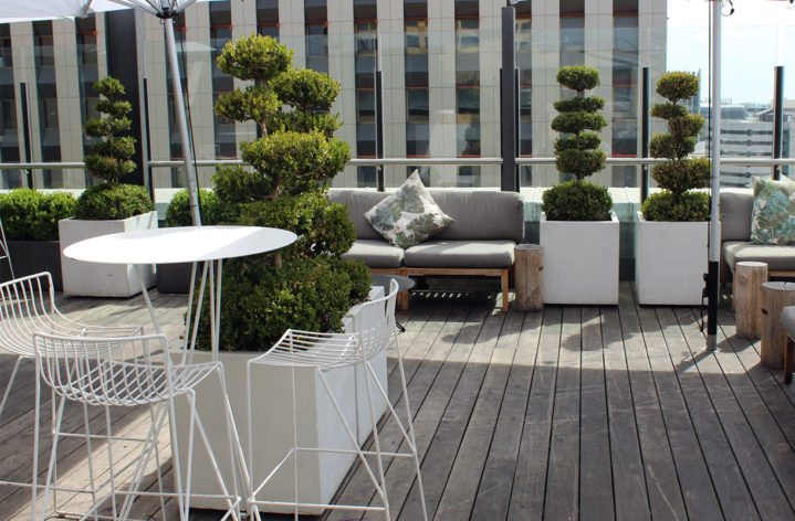 Rooftop Balcony Garden Pots