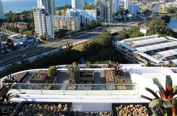 Rooftop Balcony Garden Pots