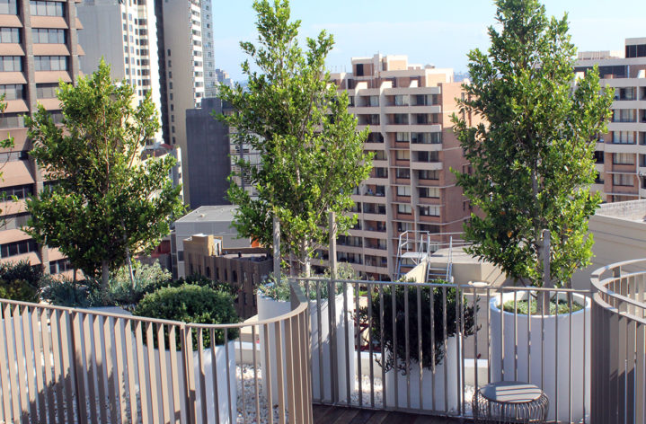 Rooftop Balcony Garden Pots