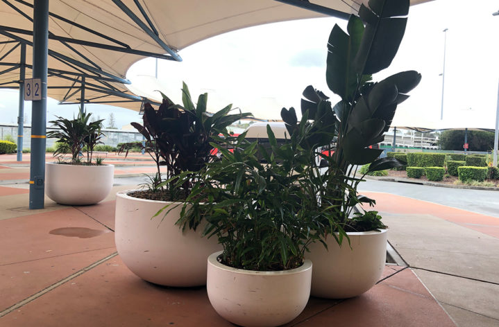 Quatro Pots at Gold Coast Airport