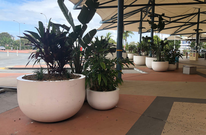 Quatro Pots at Gold Coast Airport