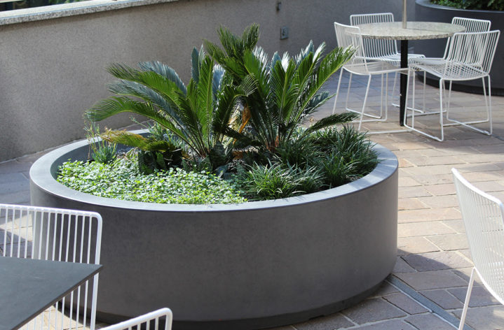 Quatro Pots Planters at Australia Square Sydney