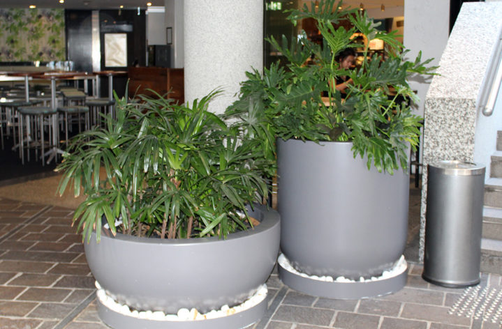 Quatro Pots Planters at Australia Square Sydney