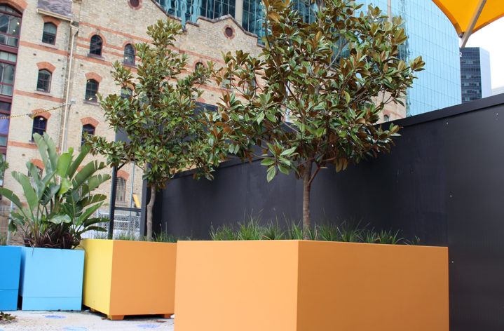 Quatro Planter boxes Barangaroo