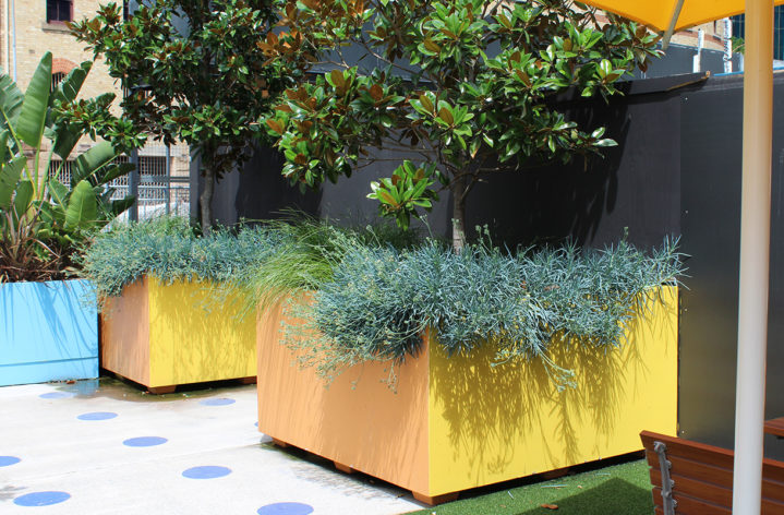 Quatro Planter boxes Barangaroo