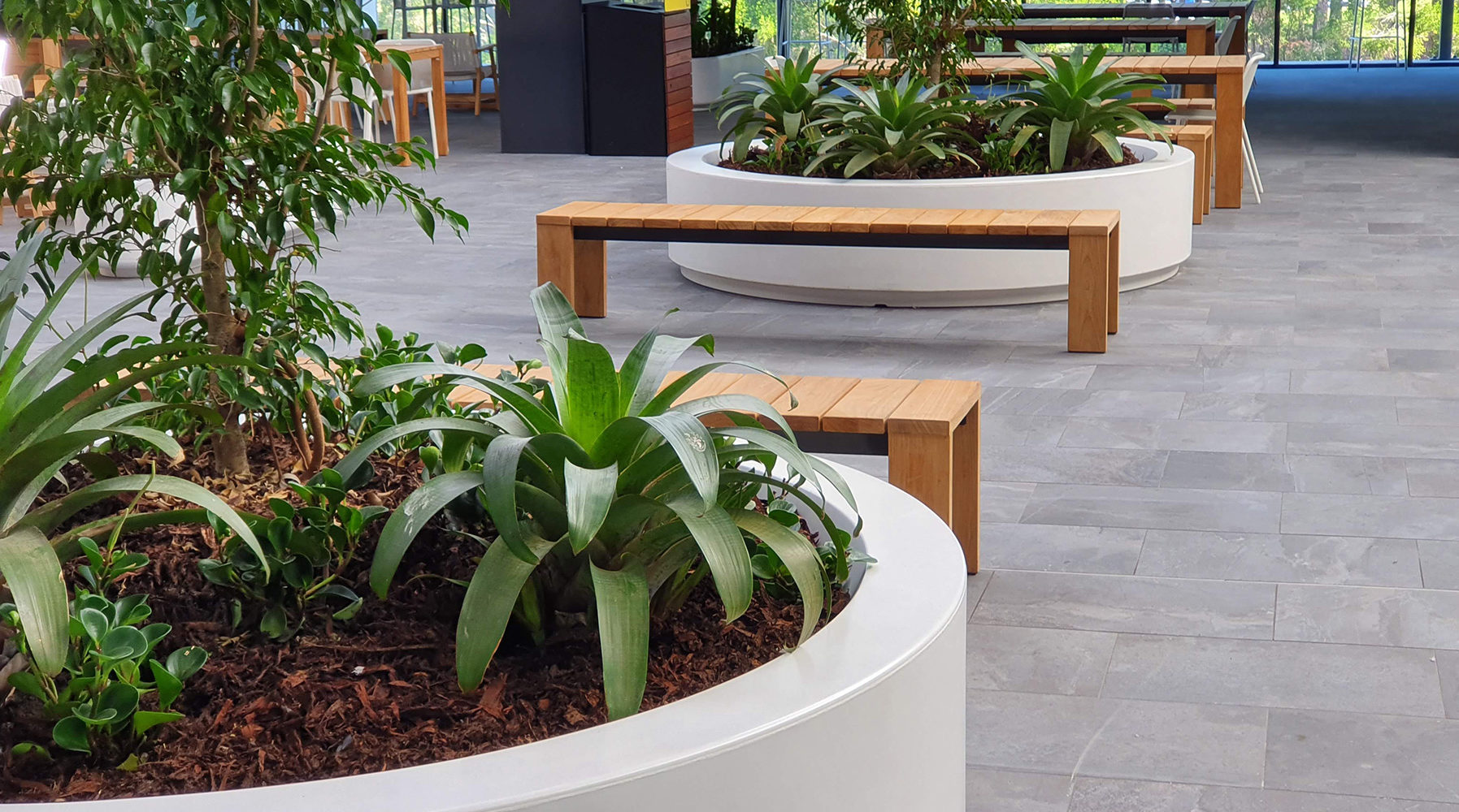 Quatro Planters Bond University