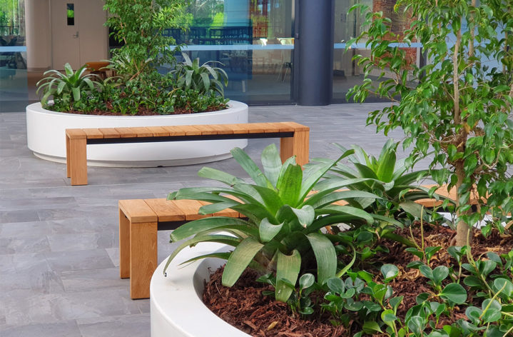 Quatro Planters at Bond University