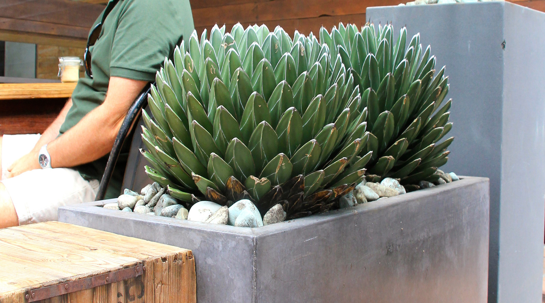 Canteen, Burleigh Heads Quatro Design