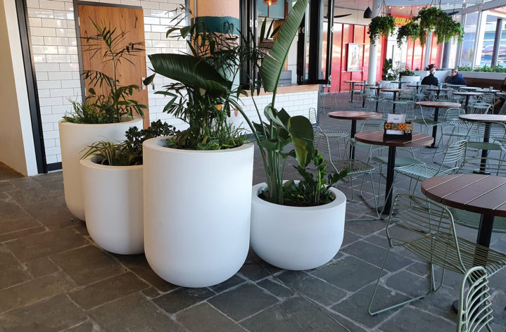 Quatro Stockland Pots Planters