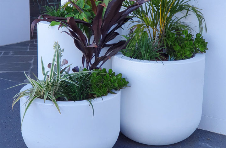 Quatro Stockland Pots Planters