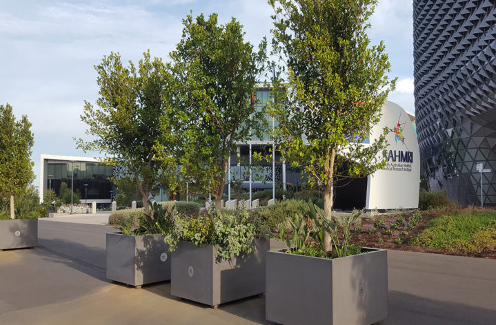 Quatro Planter Boxes Adelaide