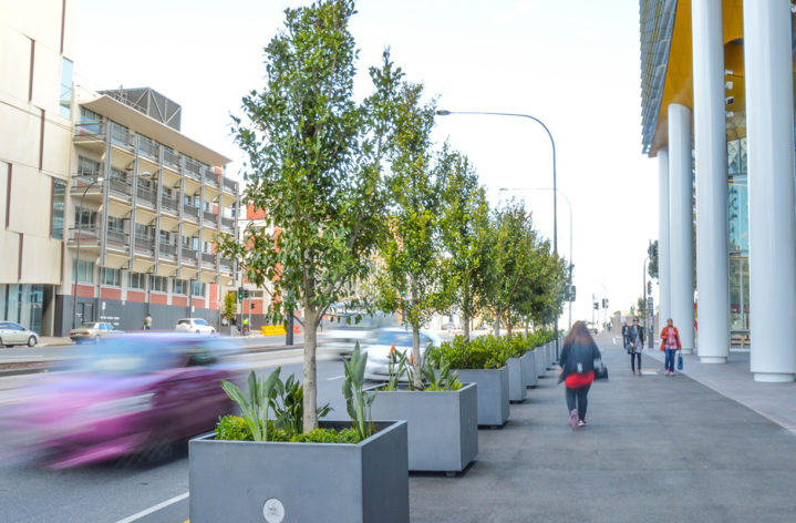 Quatro Planter Boxes Adelaide