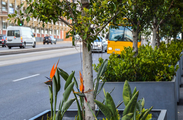 Quatro Planter Boxes Adelaide