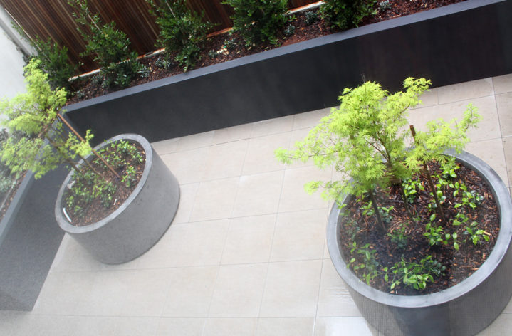 Quatro Cylinder Planter Melbourne