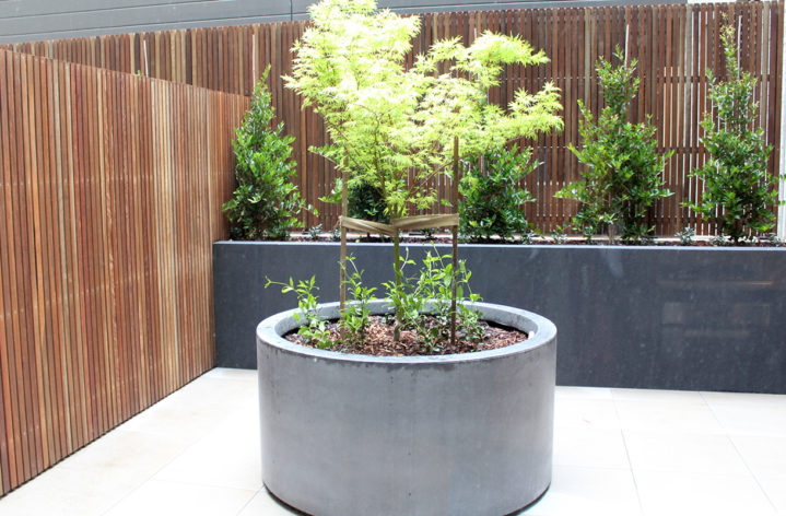 Quatro Cylinder Planter Melbourne