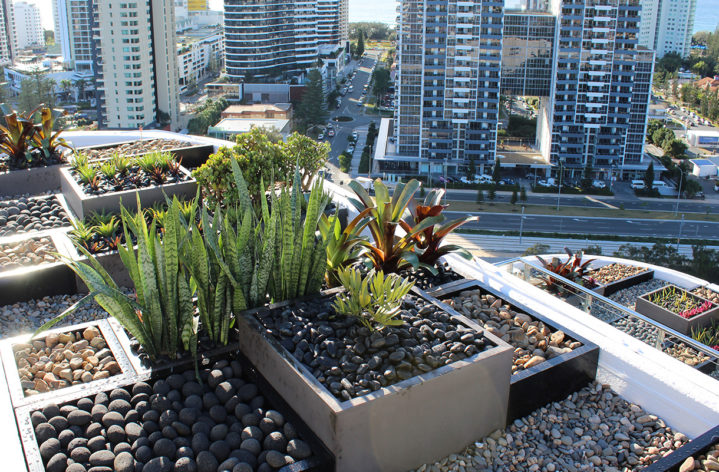 Custom Planter Boxes Rooftop Balcony