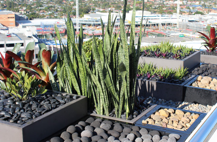 Custom Planter Boxes Rooftop Balcony