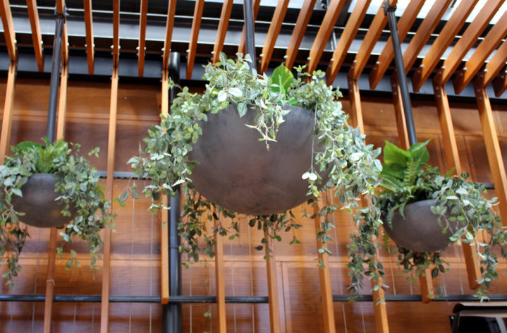 Quatro Custom Hanging Bowl Planters