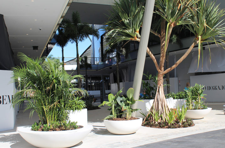 Quatro Pots at Pacific Fair Shopping Centre