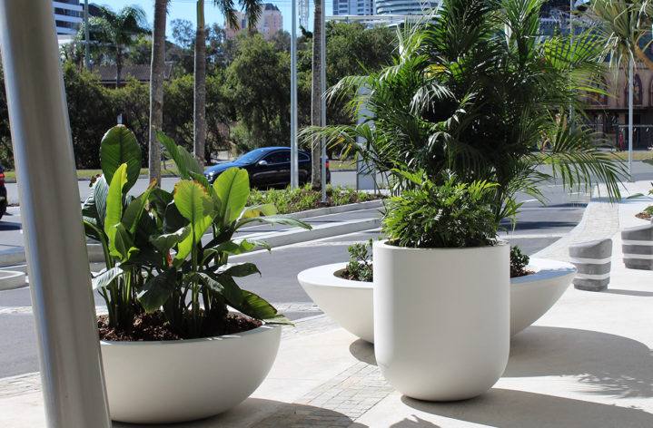 Quatro Pots at Pacific Fair Shopping Centre