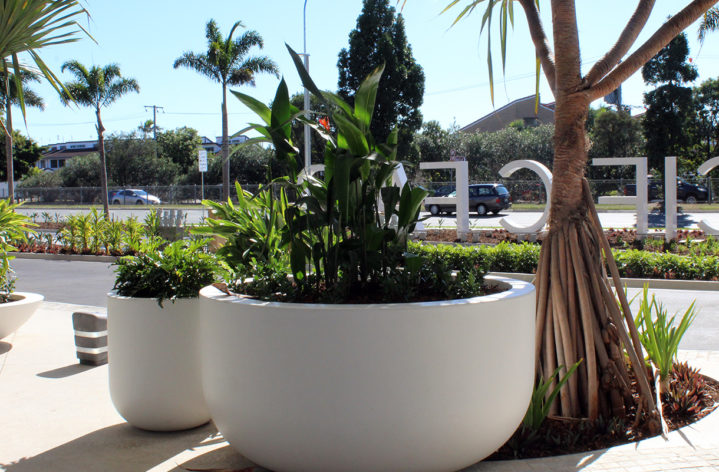 Quatro Pots at Pacific Fair Shopping Centre