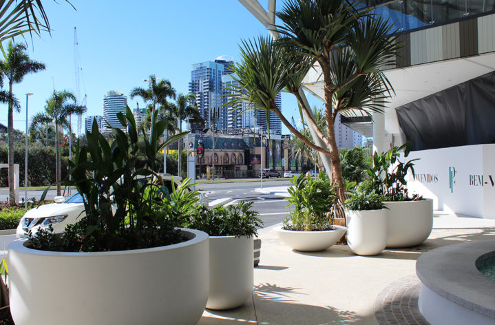 Quatro Pots at Pacific Fair Shopping Centre