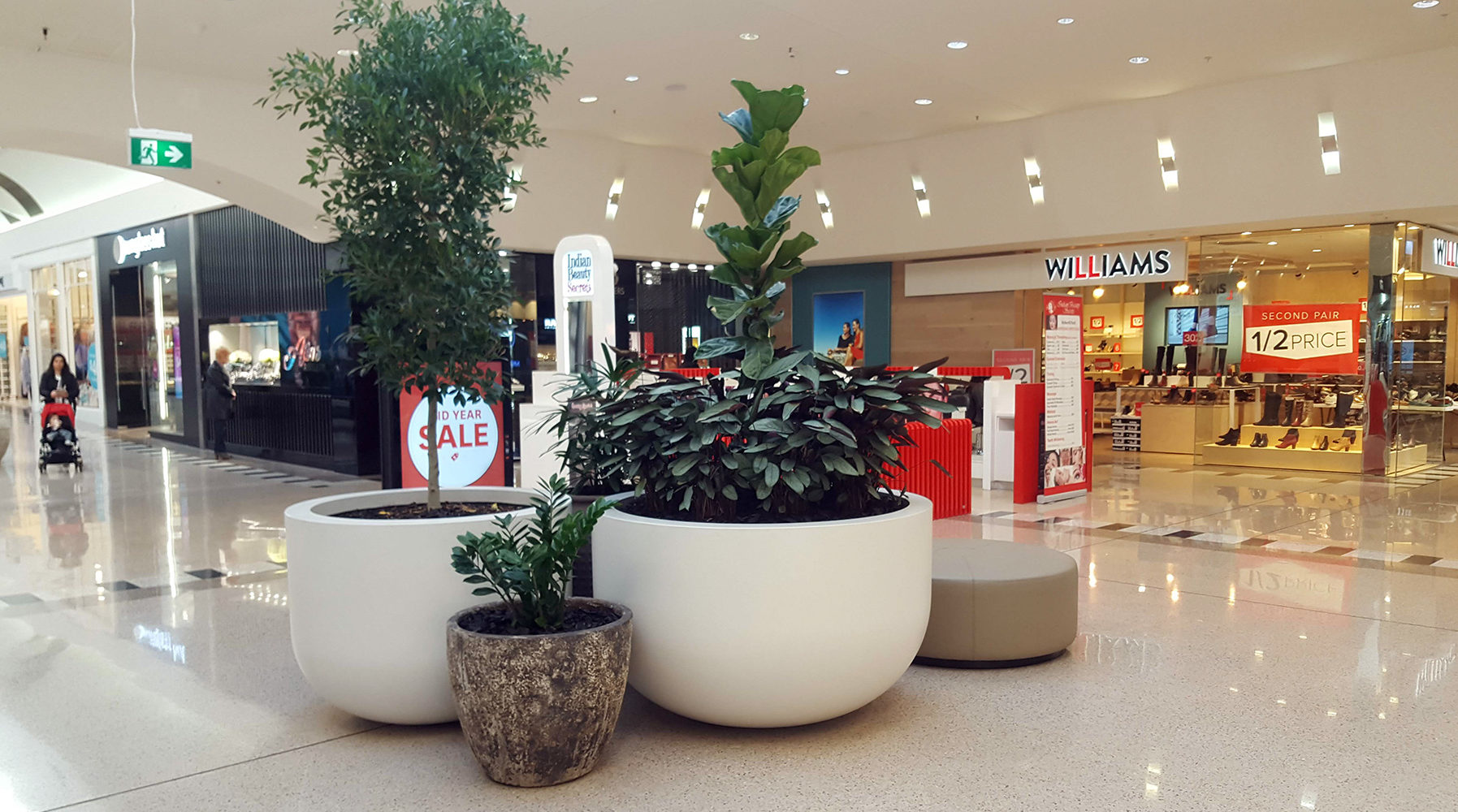 Quatro Pots in Stocklands Shopping Centre