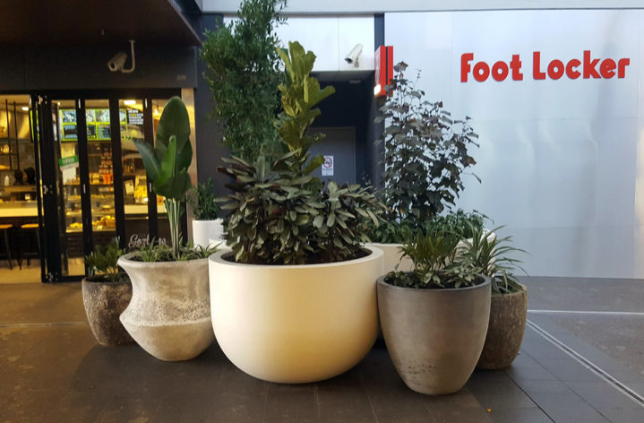 Quatro Pots in Stocklands Shopping Centre