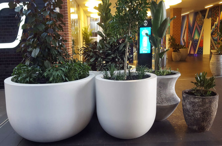 Quatro Pots in Stocklands Shopping Centre