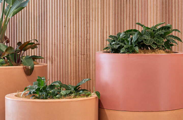 Quatro Design Custom Planters Hyperdome