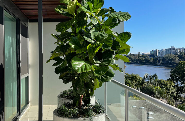 Balcony Garden Quatro Design