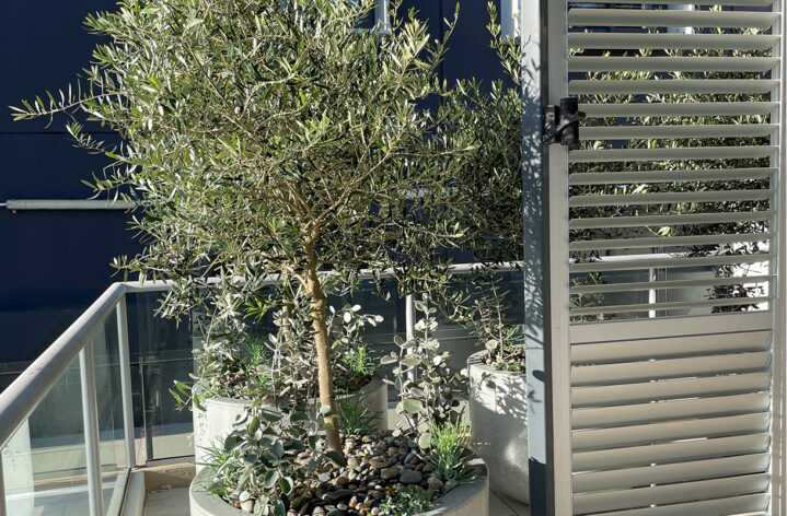 Balcony Garden Quatro Design