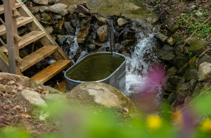 Ice bath plunge pool
