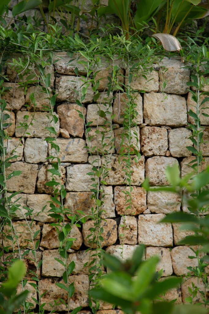 Natural Stone Wall