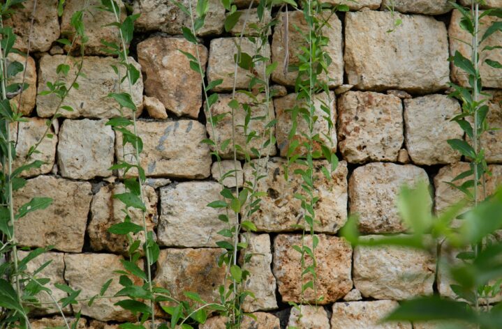 Natural Stone Wall